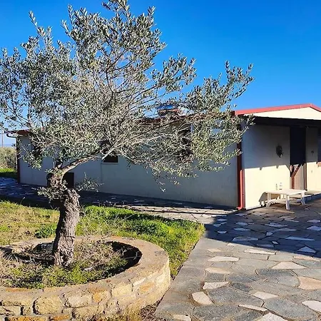 بيت للعطل With Amazing Sea View