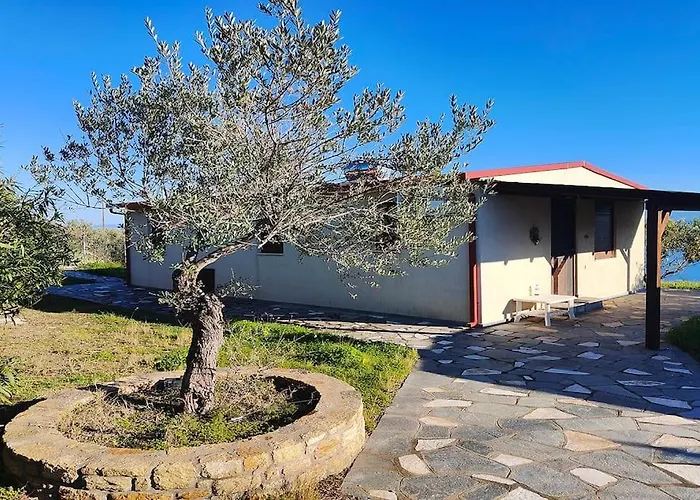 Case de vacanță With Amazing Sea View
